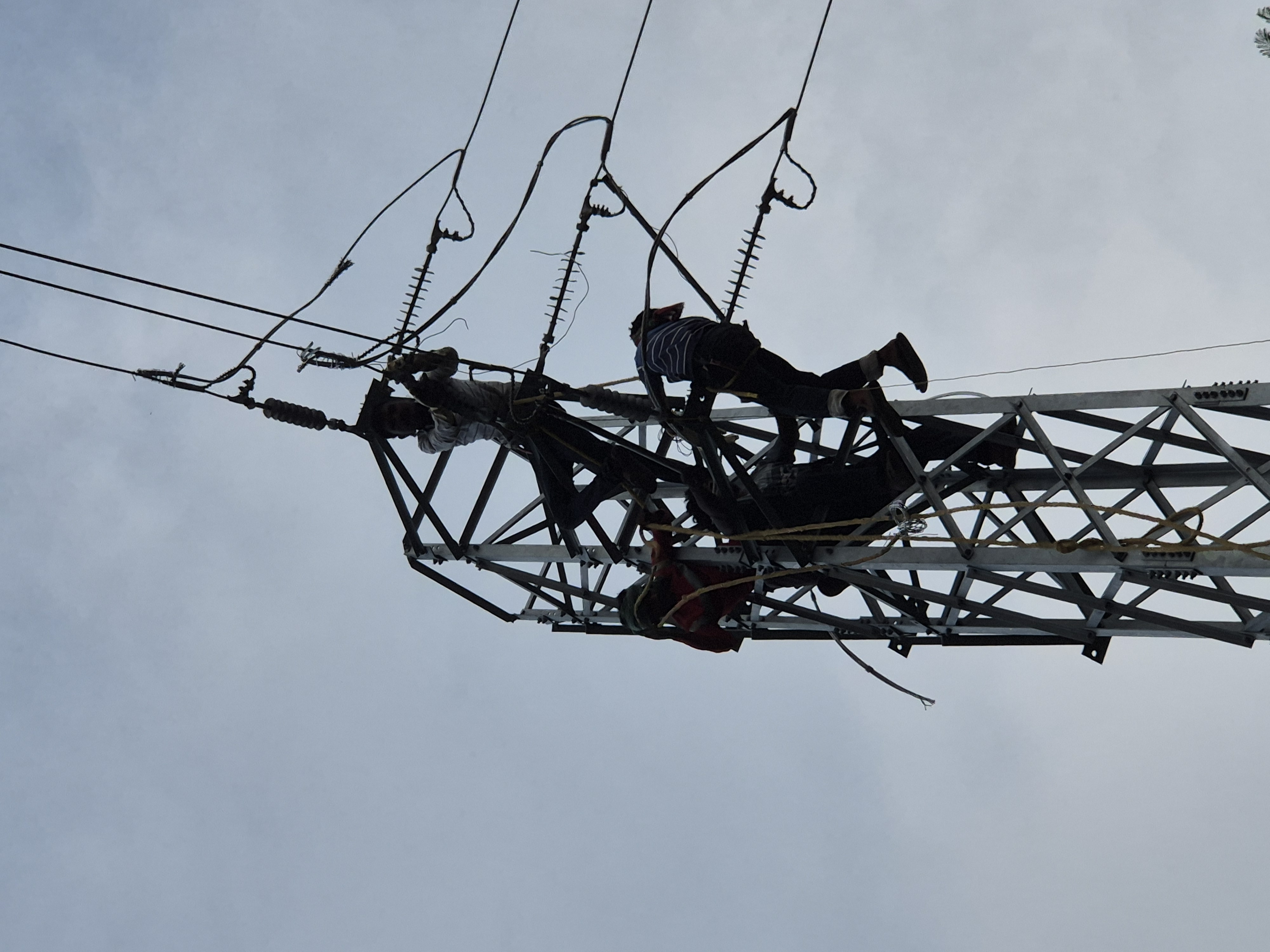 Men Working on Pole