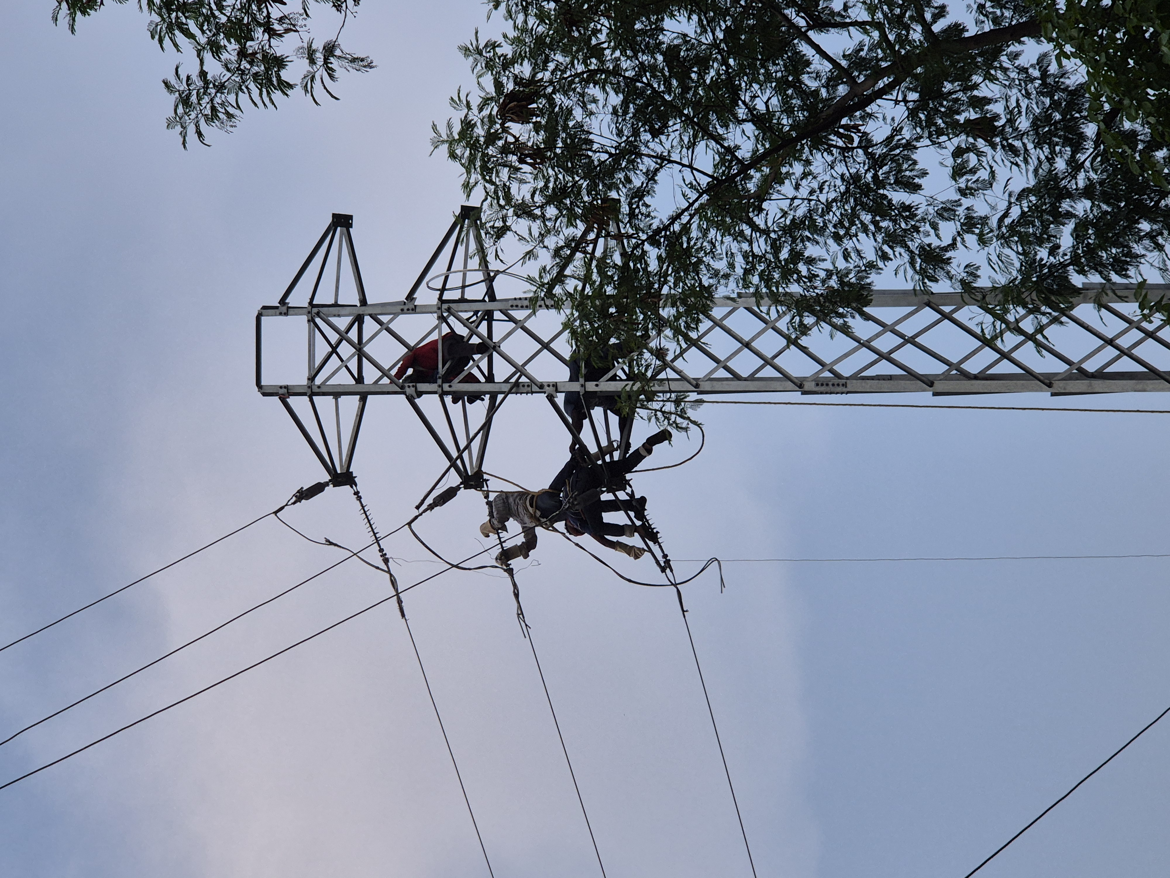 Men Working on Pole
